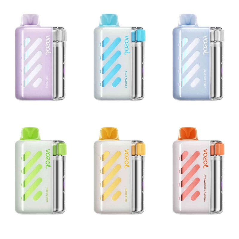 VOZOL Vista 40K Disposable Vape - Rechargeable Battery 40000 Puffs